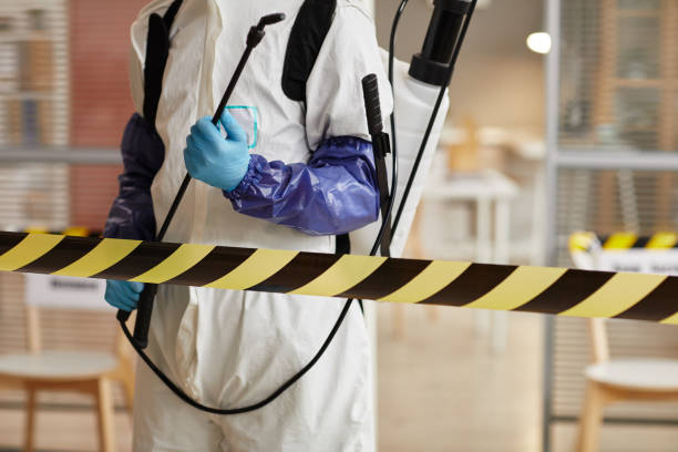 Professional Sewage Cleanup technician working in Eureka Springs, AR